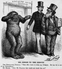 darwin cartoon, 1871